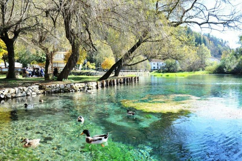 Готель Olimpus Сора Екстер'єр фото